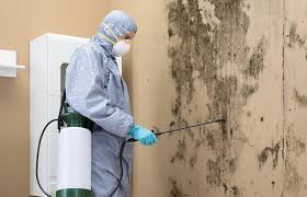 Best Air Quality Testing for Mold Spores  in Fosston, MN